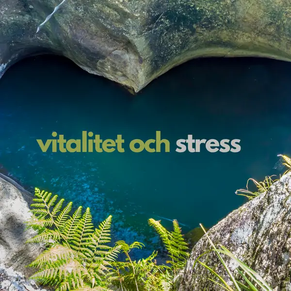 Steg 2 Vitalitet och stress  online nu i maj